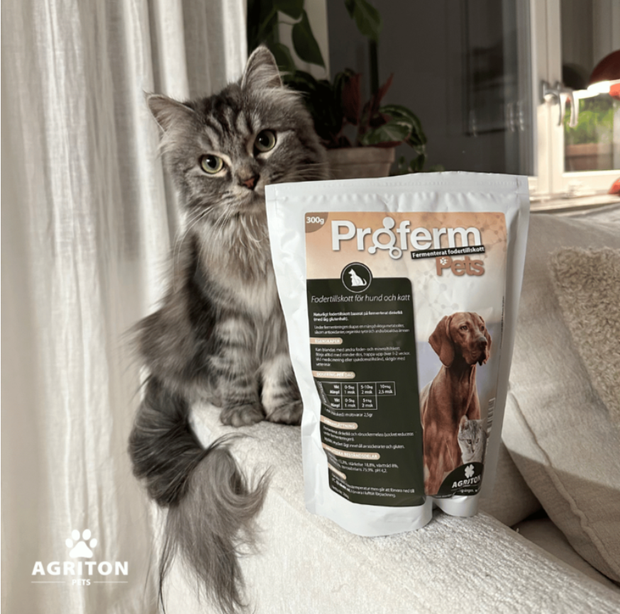 Proferm Pets – Fermenterat dinkelkli med Prebiotika